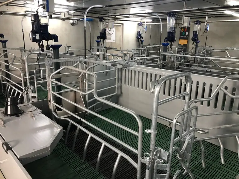 L’éleveur a fait le choix des cases maternité Matek+ (Itek) pour 7m²/truie (2,80 X 2,50 m), conçue pour l’ergonomie de travail grâce à ses bat-flancs