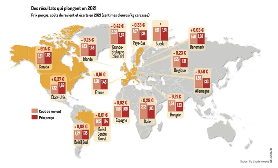 Forte baisse des résultats des élevages de porcs en 2021 à l’international
