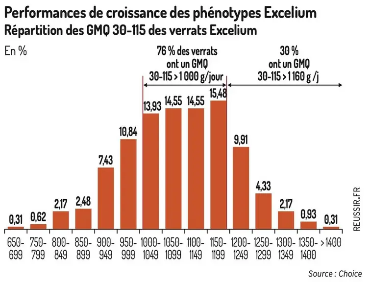 À l’élevage de porcs du Gaec Chauveau : Des résultats exceptionnels en engraissement