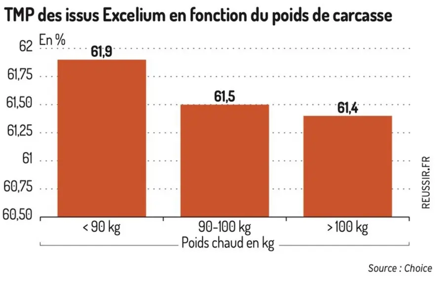 À l’élevage de porcs du Gaec Chauveau : Des résultats exceptionnels en engraissement