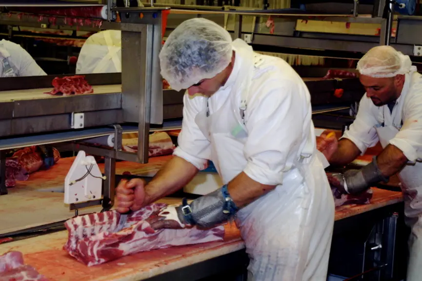 La main-d’œuvre, clé de résilience des abattoirs de porcs aux États-Unis