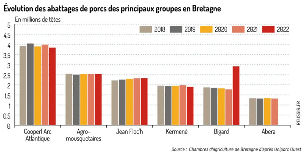 Régression des volumes abattus de porcs en Bretagne