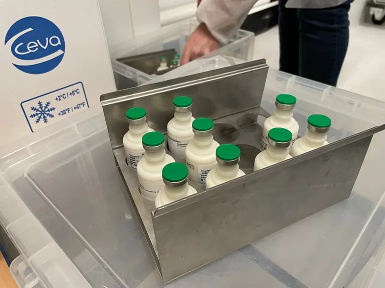 Chaque lot d’autovaccin contient des souches et une formulation spécifique à l’élevage auquel il est destinataire.