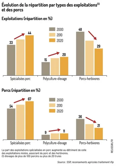 La concentration des élevages de porc se poursuit