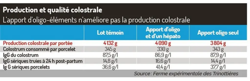 Cures d’oligo-éléments : cibler les truies à risque