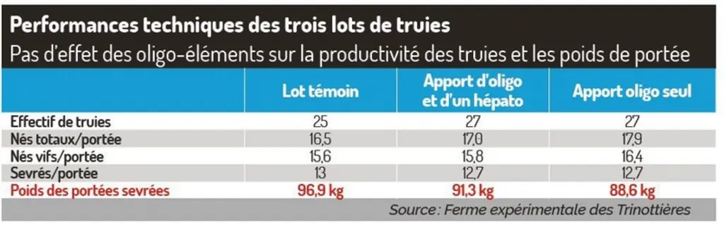 Cures d’oligo-éléments : cibler les truies à risque