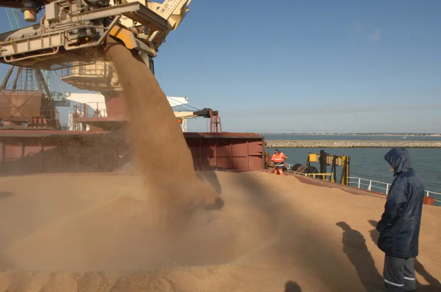 Port autonome de La Rochelle  / La Pallice / chargement de 47000 tonnes de blé pour le Yemen / exportation de céréales vers le Moyen-Orient (Péninsule