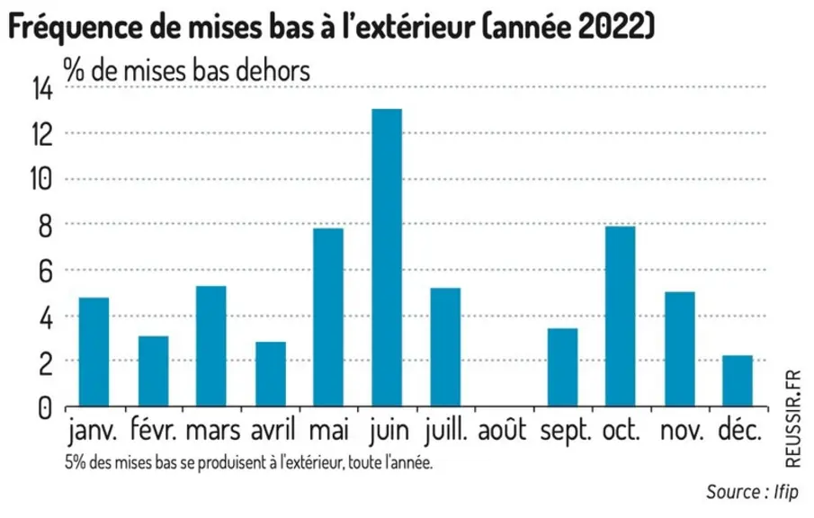 Des résultats prometteurs en maternité alternative