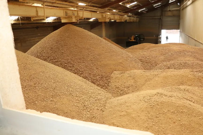 4-Le tourteau de soja est stocké à plat à une humidité de 4%, avant d’être envoyé vers les usines d’aliment du bétail de la région.