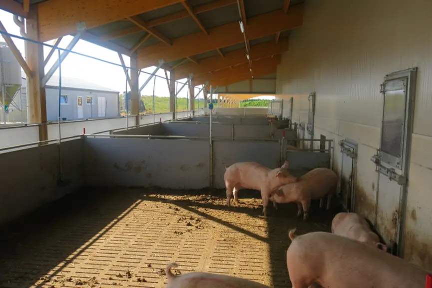 La courette extérieure sur caillebotis est la zone sale de la case.