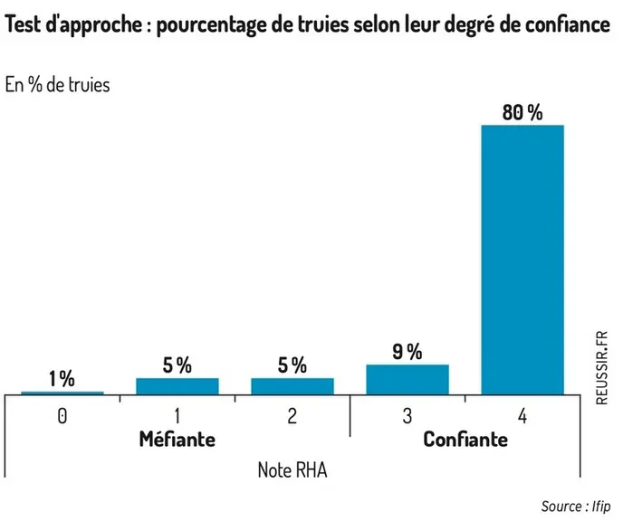 Le bien-être des truies gestantes au top avec Physior