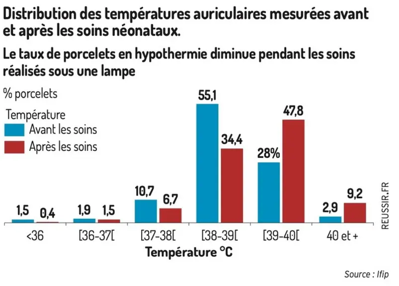 Un outil pour détecter facilement les porcelets en hypothermie