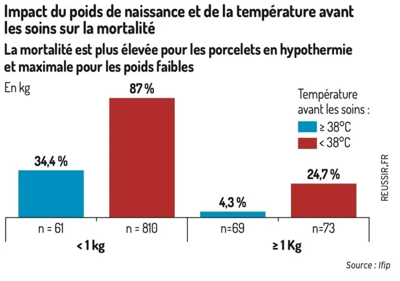 Un outil pour détecter facilement les porcelets en hypothermie