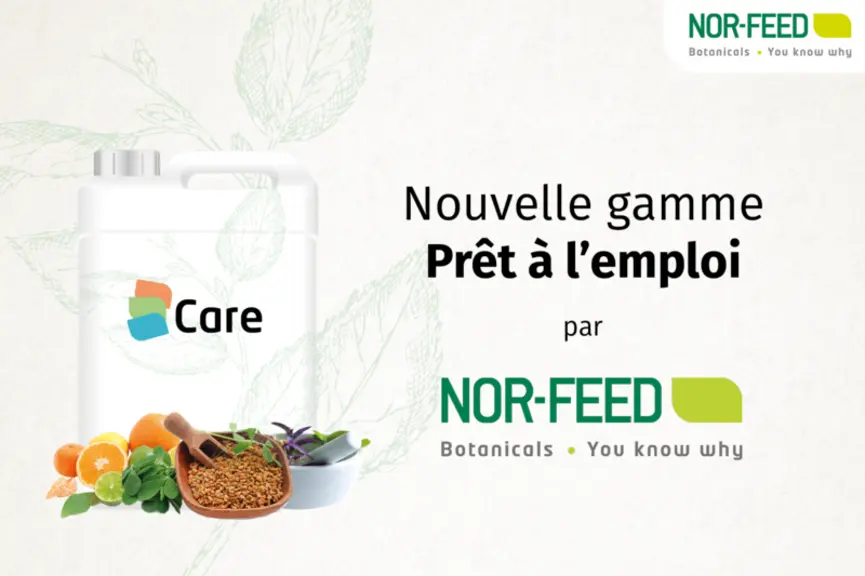 Notre sélection de nouveautés aliments pour les élevages de porcs au Space