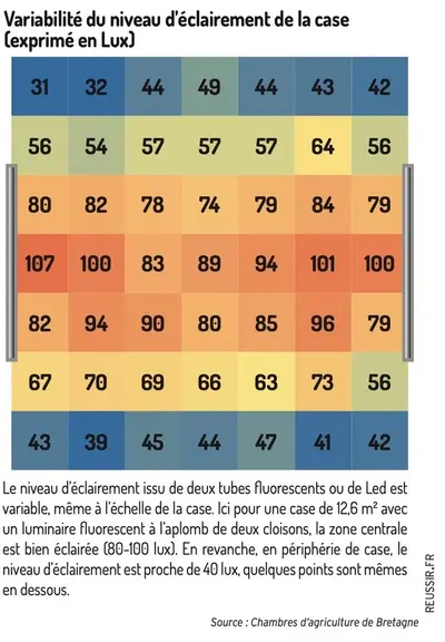 L'éclairement des bâtiments en porc est hétérogène