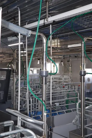 L'aliment des truies allaitante géré à sec par le multiphase Optimat (Asserva) est humidifié par une arrivée d'eau dans le tuyau de descente avant qu'