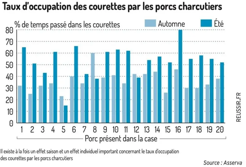 Comment la RFID UHF évalue le taux d’occupation des courettes extérieures en élevage de porcs ?