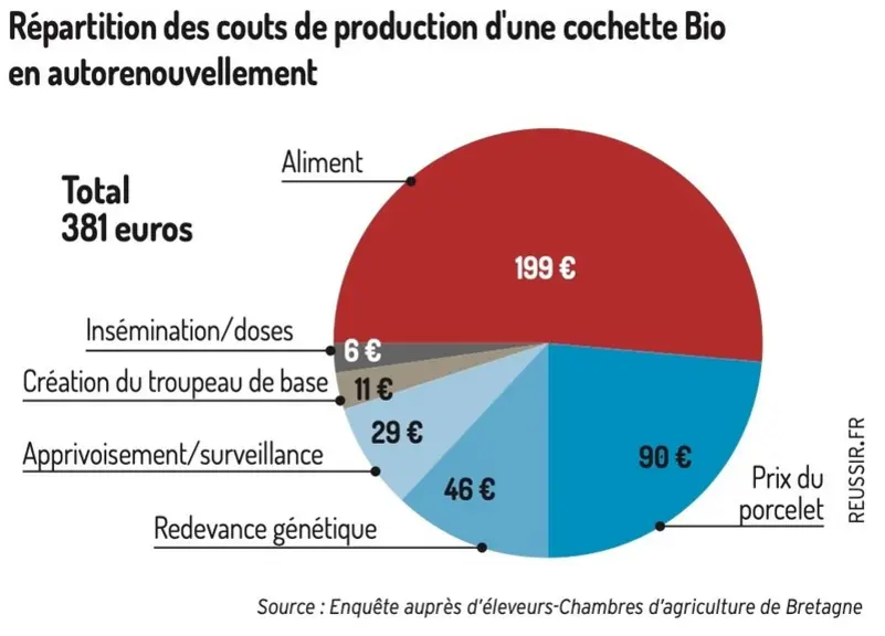 Quelles marges de manœuvre pour renouveler son cheptel truies en bio ?