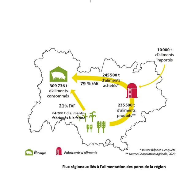 Flux régionaux liés à l'alimentation des porcs de la région Aura