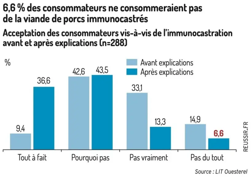 Immunocastration des porcs : qu’en pensent les consommateurs ?