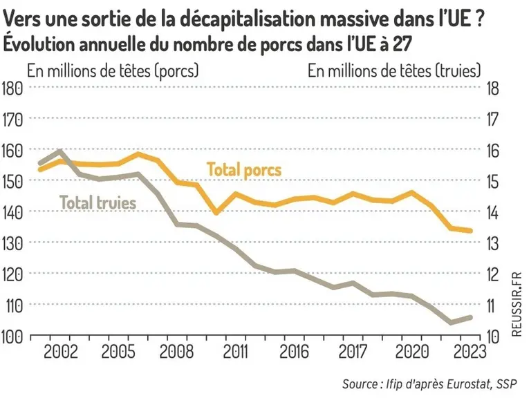 L'enquête cheptel européen de la fin 2023 laisse entrevoir une sortie de la période de décapitalisation massive

Evolution annuelle du nombre de porc en UE-27 