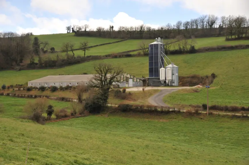 élevage de porcs en engraissement en zone de montagne avec fabrique d'aliment à la ferme