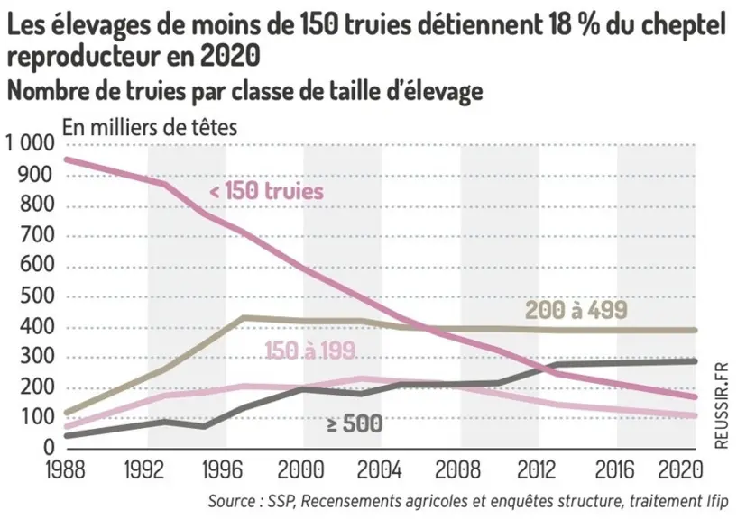 Les élevages de moins de 150 truies détiennent 18% du cheptel reproducteur en 2020, contre 80%  en 1988Nombre de truies par classe de taille d'élevage            