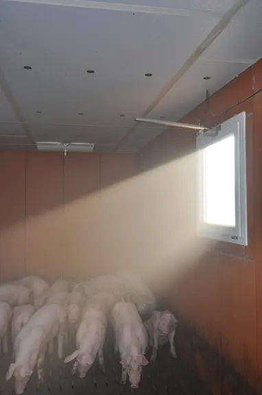 Attention au rayonnement direct du soleil : risque de surchauffe !