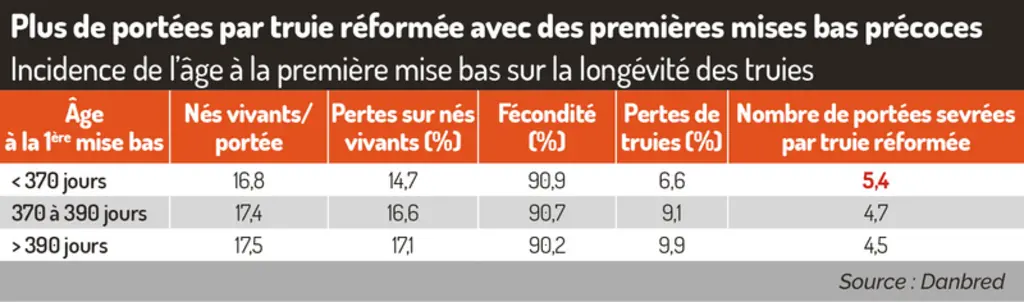 <em class="placeholder">Incidence de l’âge à la première mise-bas sur la longévité des truiesPlus de portées par truie réformées avec des premières mi