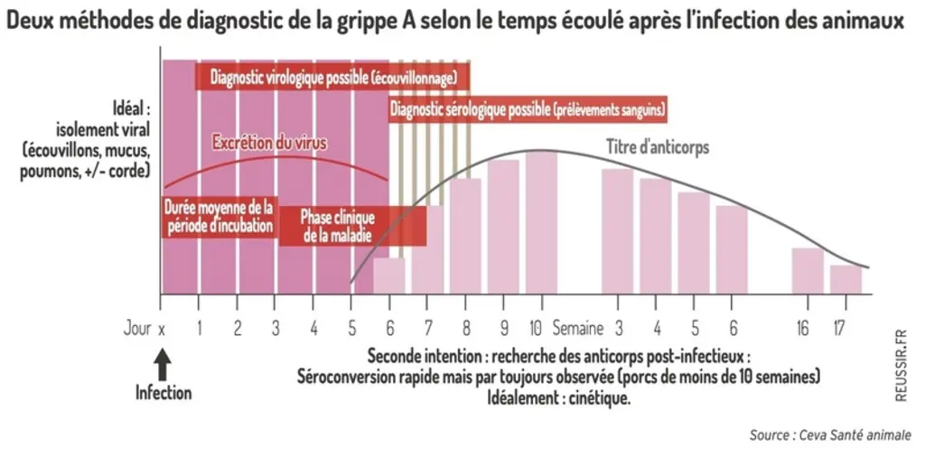 <em class="placeholder">Deux méthodes de diagnostic de la Grippe A selon le temps écoulé après l'infection des animaux</em>