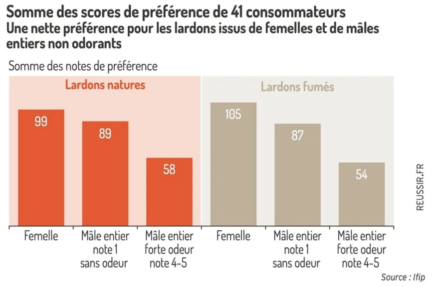 Graphique = Somme des scores de préférence de 41 consommateursUne nette préférence pour les lardons issus de femelles et de mâ