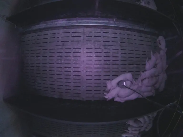Avant - En modifiant le circuit d’air pour éviter les retombées d’air froid, les captures d’images réalisées de nuit ont montr