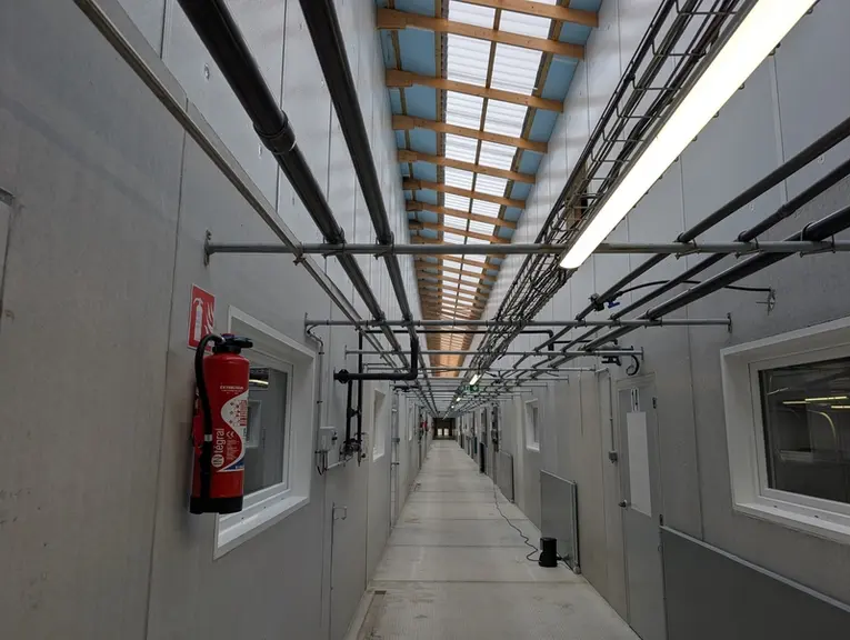 Dans le bâtiment d'engraissement neuf, une verrière au dessus du couloir central apporte de la lumière naturelle et contr