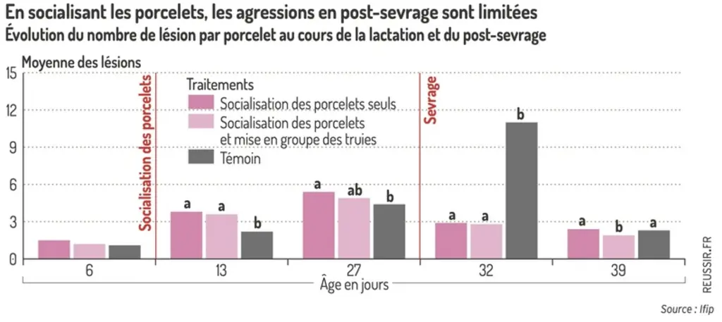 <em class="placeholder">Graphique = En socialisant les porcelets, les agressions en post-sevrage sont limitéesÉvolution du nombre de lésion par porcelet au cours de la lactation et du post-sevrage</em>