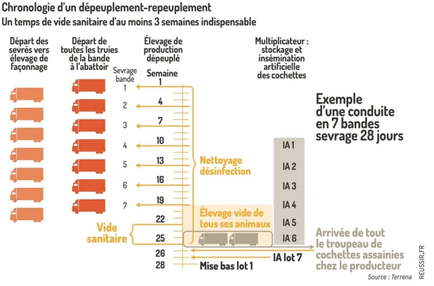 <em class="placeholder">Graphique = Chronologie d’un dépeuplement-repeuplementUn temps de vide sanitaire d’au moins 3 semaines indispensable</em>
