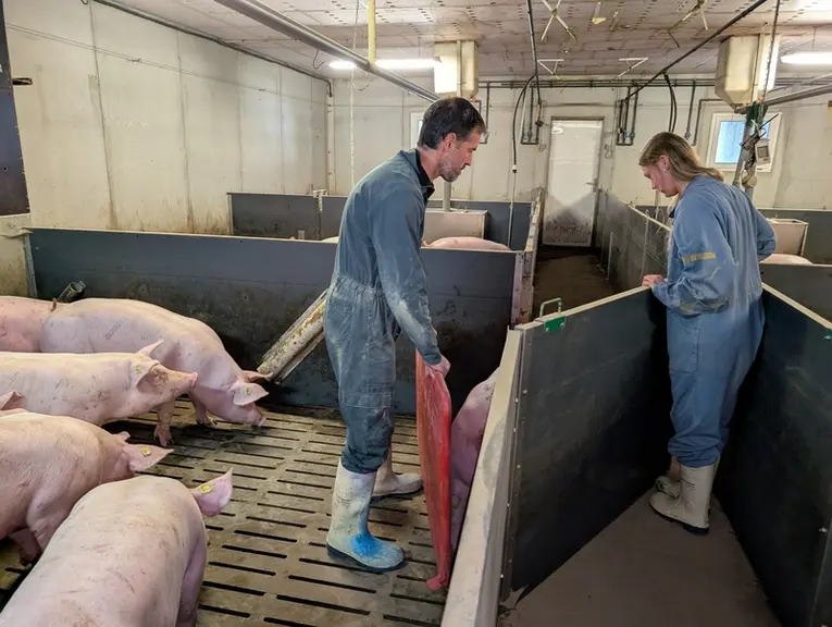 Une démonstration commentée des tâches favorise une exécution selon les attentes et une prise d’autonomie.