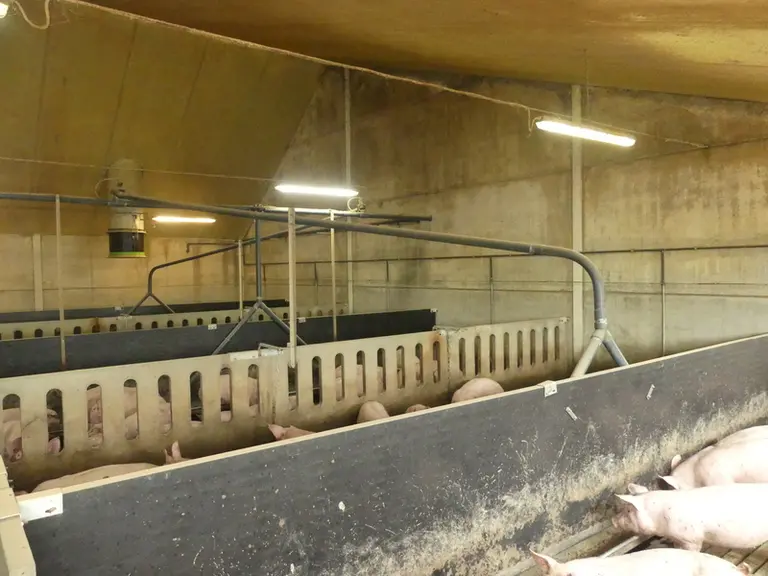 Avec une charpente traditionnelle, le plafond peut être supprimé, afin de passer en grand volume.