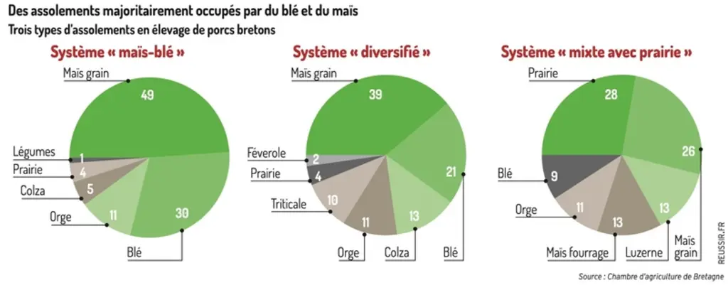 <em class="placeholder">Graphique = Des assolements majoritairement occupés par du blé et du maïsTrois types d’assolements en élevage de porcs bretons</em>