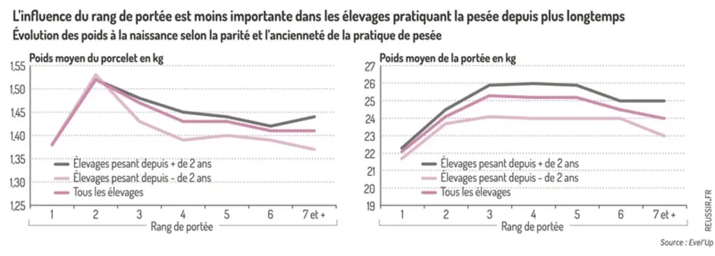 <em class="placeholder">Graphique = L’influence du rang de portée est moins importante dans les élevages pratiquant la pesée depuis plus longtempsÉvolution des poids à la naissance selon la ...</em>