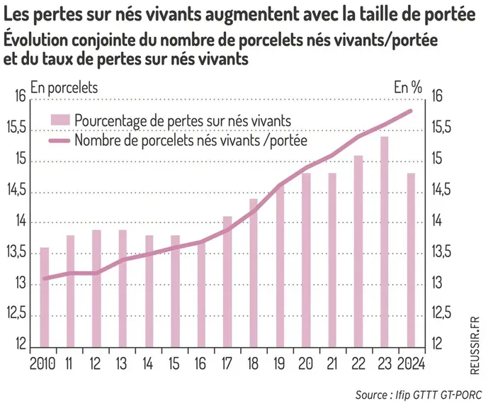 <em class="placeholder">Graphique = Les pertes sur nés vivants augmentent avec la taille de portéeÉvolution conjointe du nombre de porcelets nés vivants/portéeet du taux de pertes sur nés ...</em>