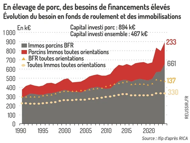 <em class="placeholder">Graphique = En élevage de porc, des besoins de financements élevésÉvolution du besoin en fonds de roulement et des immobilisations</em>