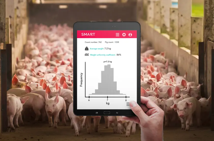 <em class="placeholder">Neuf nouveautés porc primées Innov’Space</em>