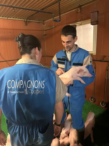 Un quart des 26 installations accompagnées par la Cooperl en moyenne tous les ans se font hors cadre familial