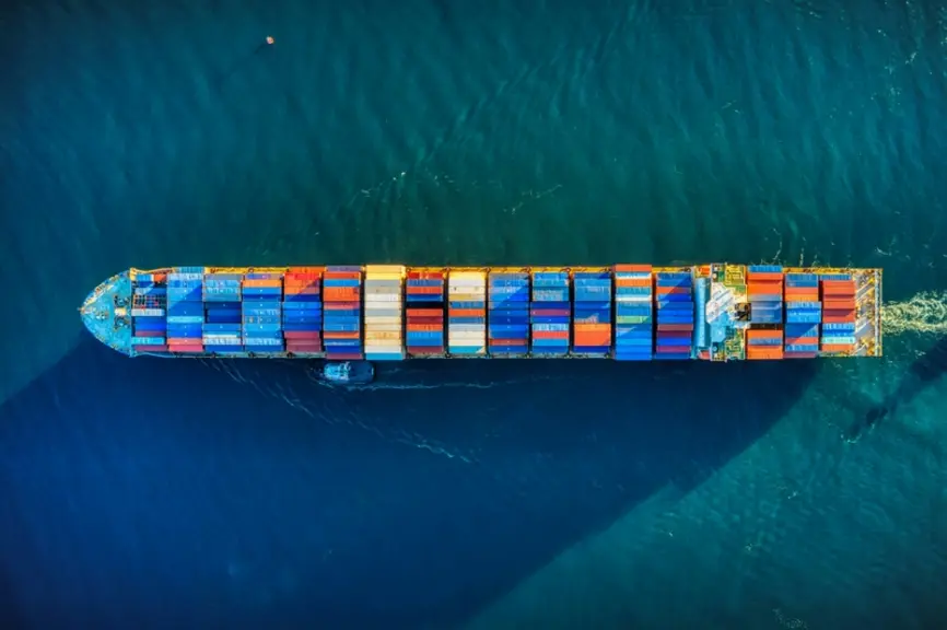 Le secteur porcin européen s'est vu imposer des droits de douane vers la Chine de 9,8% pour les cinq prochaines années.</
