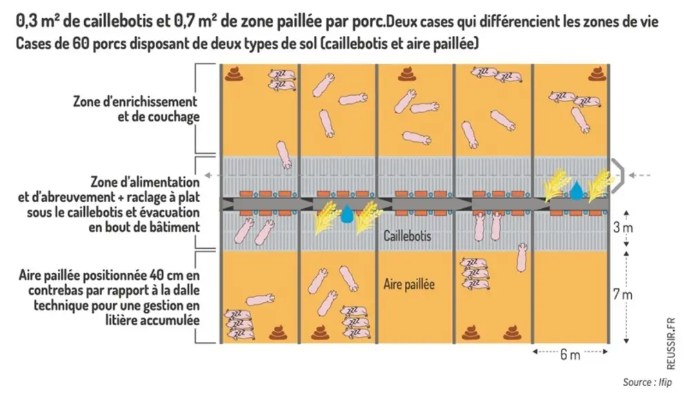 <em class="placeholder">0,3 m² de caillebotis et 0,7 m²  de zone paillée par porc.Cases de 60 porcs disposant de deux types de sol (caillebotis et aire paillée).</em>