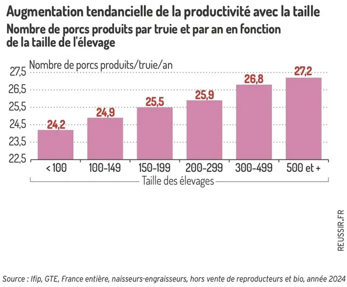 Des élevages de plus en plus grands et de moins en moins nombreuxÉvolution du nombre d’élevages de truies et du nombre de trui