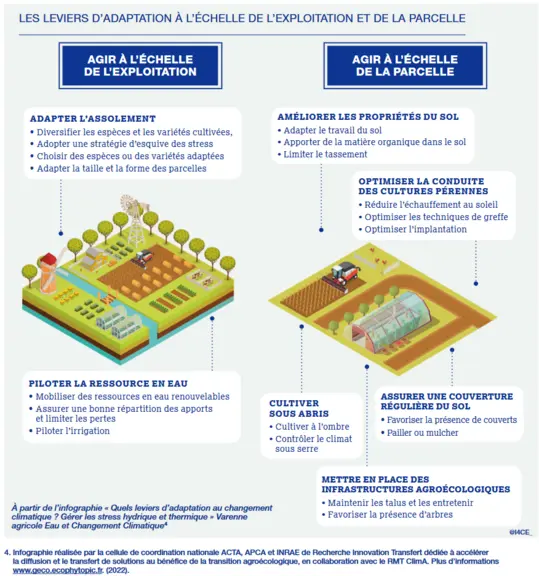 Les leviers d'adaptation au changement climatique à l'échelle de l'exploitaiton agricole et de la parcelle