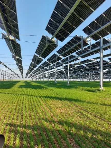 canopée agrivoltaïque côte d'or