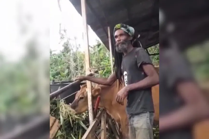 Images d'une exploitation agricole à Mayotte, deux mois après le passage du cyclone de Chido