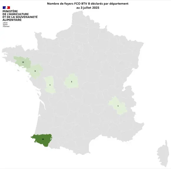 Carte de France présentant la répartition des foyers de FCO 8 déclarés par département au 3 juillet 2025